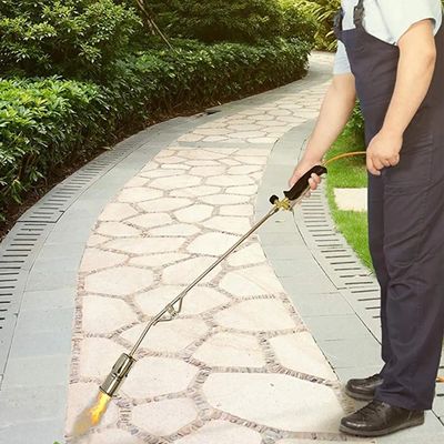 66KW normale calore di ingresso gas propano torcia bruciatore di erbe infestanti per giardino e strade